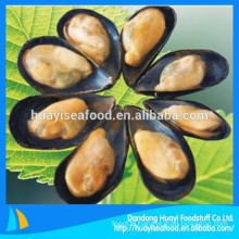 our main exporting product is frozen cooked half shell mussel